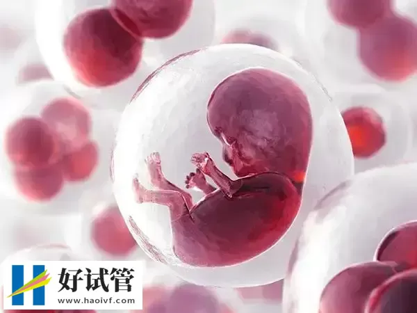 促排期间能不能吃感冒药(图1) 促排期间能不能吃感冒药(图1)