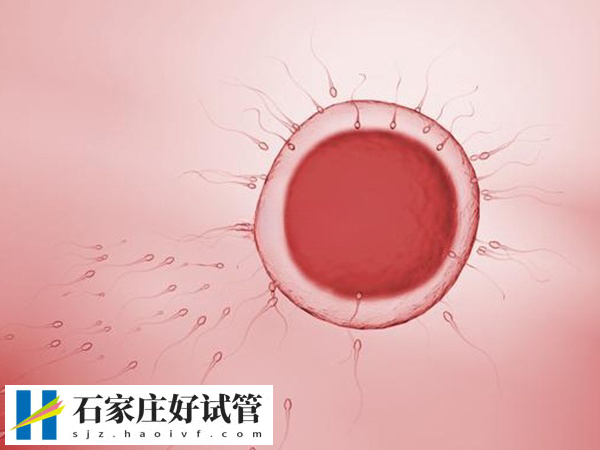 石家庄精子库申请供精试管流程(图3) 石家庄精子库申请供精试管流程(图3)