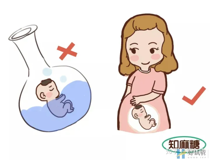 试管婴儿是爸妈亲生的吗?(什么是“试管婴儿”?)越早知道越好(图6) 试管婴儿是爸妈亲生的吗?(什么是“试管婴儿”?)越早知道越好(图6)